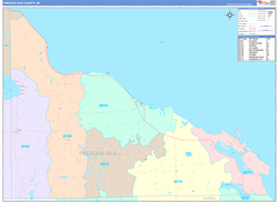 Presque IsleCounty, MI Wall Map Color Cast Style 2024